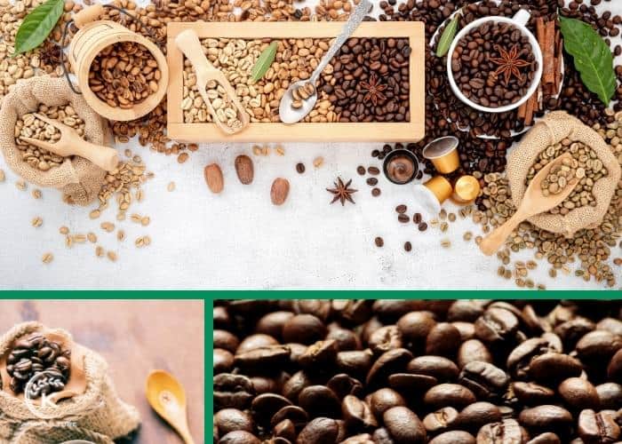 Arabica-coffee-suppliers-3.jpg