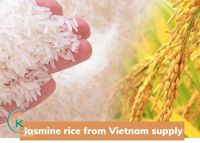 jasmine-rice-from-viet-nam-5.jpg