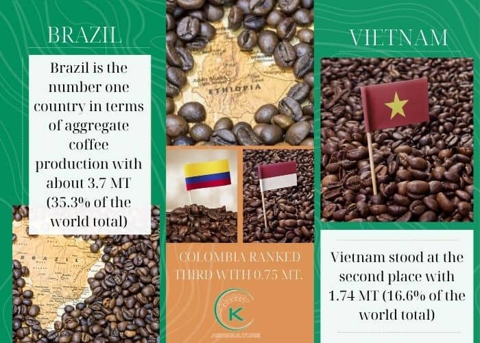 coffee-bean-manufacturers-4.jpg