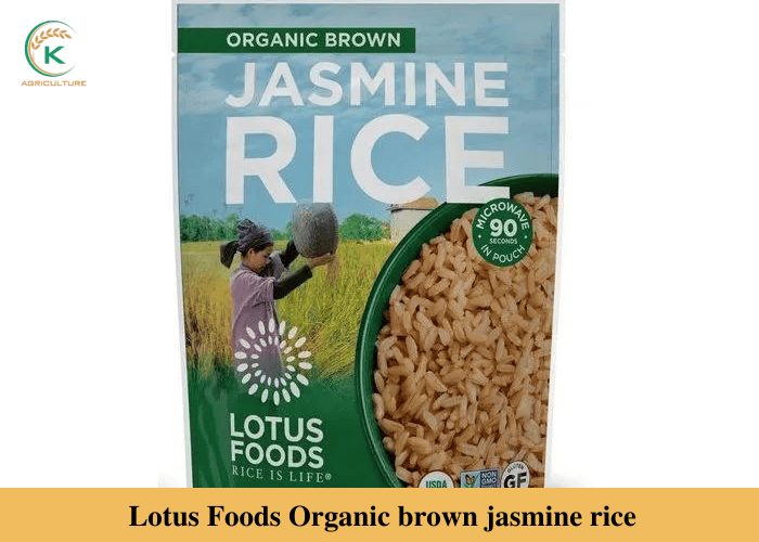 brown-jasmine-rice-9.jpg