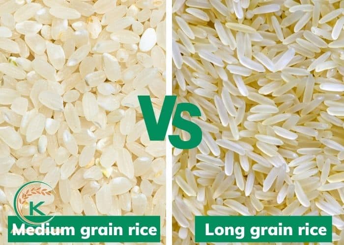 medium-grain-rice-vs-long-grain-rice-1.jpg