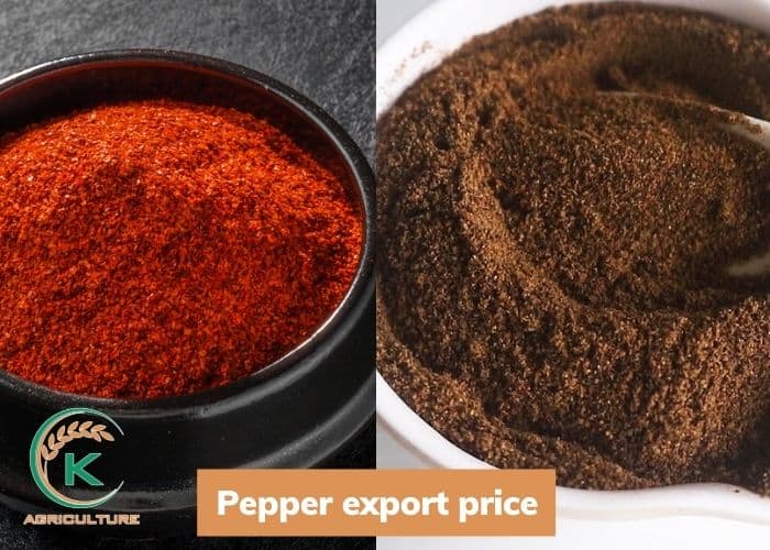 Pepper-export-3.jpg