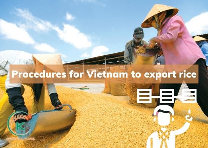 philippines-import-rice-from-vietnam-12.jpg