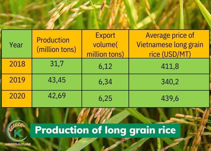 long-grain-rice-exporters-10.jpg
