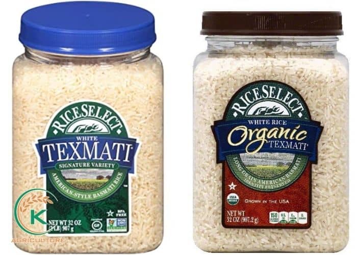 medium-grain-rice-vs-long-grain-rice-15.jpg