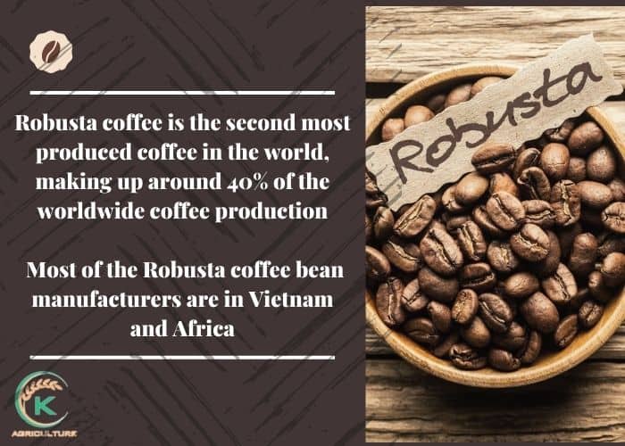coffee-bean-manufacturers-7.jpg