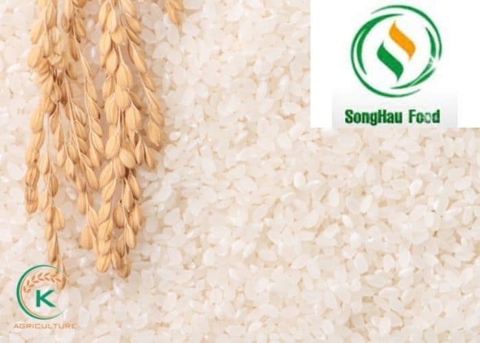 rice-manufacturers-in-vietnam-15.jpg