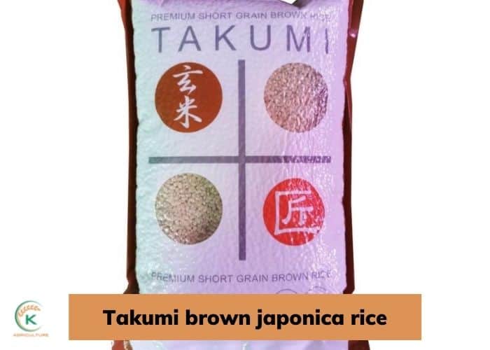 brown-japonica-rice-8.jpg