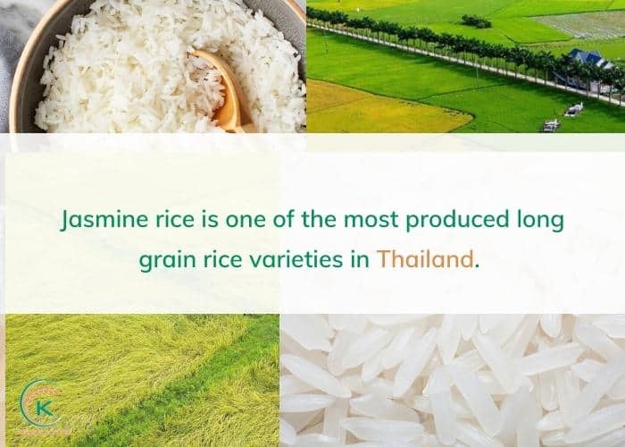 Long-grain-rice-varieties-2.jpg