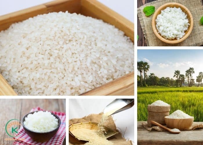 white-rice-1.jpg
