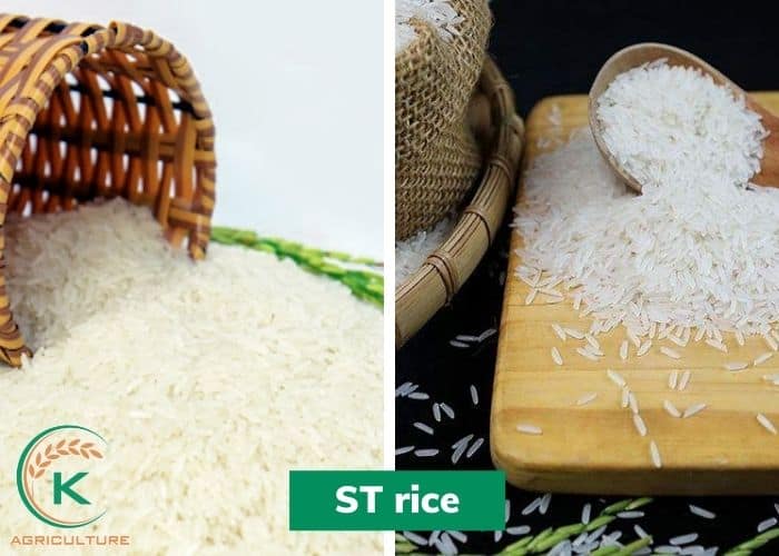 rice-from-vietnam-suppliers-2.jpg