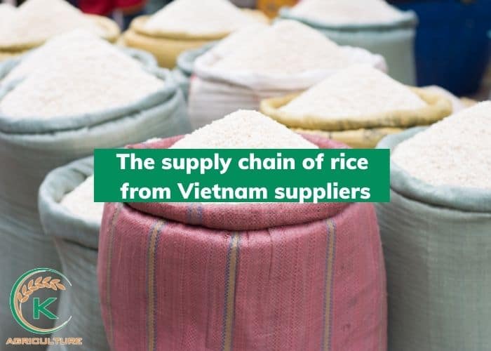 rice-from-vietnam-suppliers-7.jpg