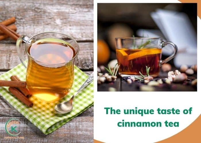 cinnamon-tea-4.jpg