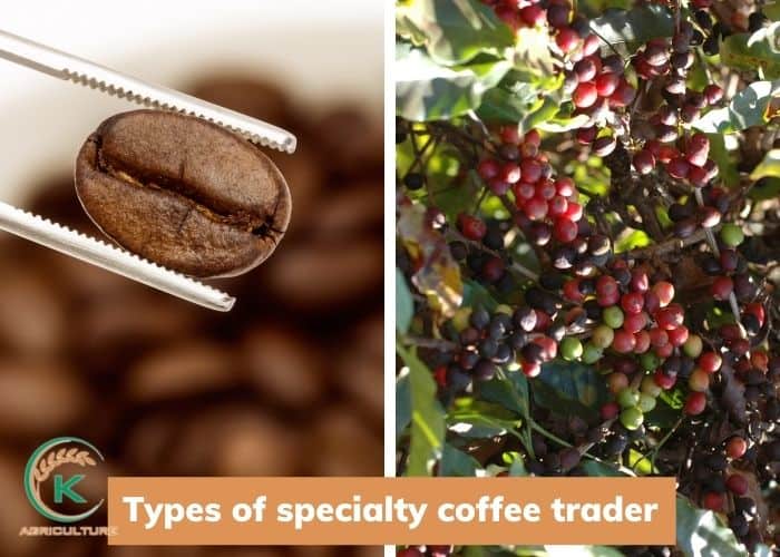 specialty-coffee-trader-2