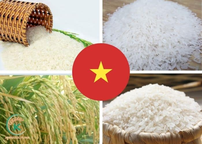 long-grain-rice-exporters-3.jpg