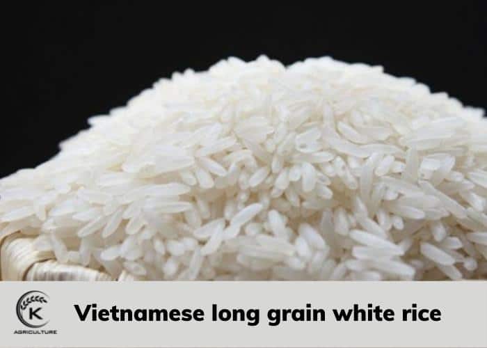 vietnamese-long-grain-white-rice-1.jpg