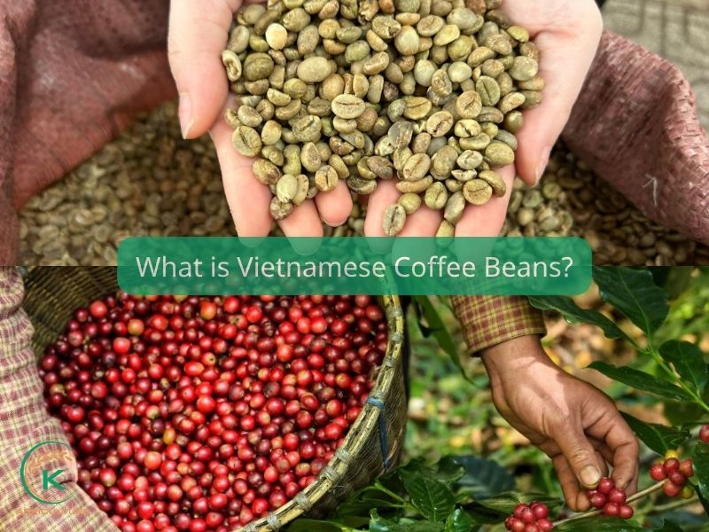 What is Vietnamese Coffee Beans