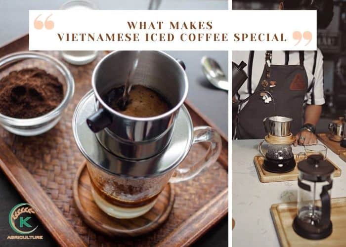 Vietnamese-iced-coffee-4.jpg