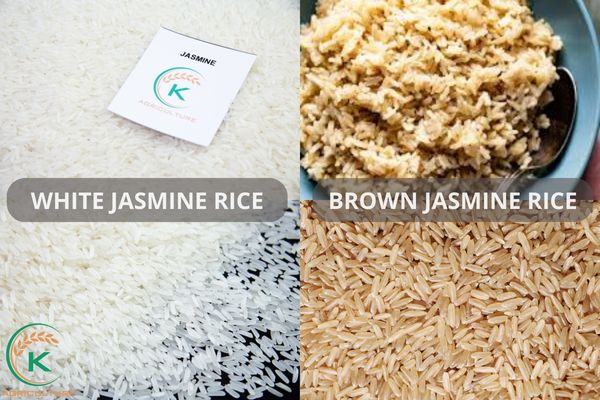 White and Brown Jasmine Rice