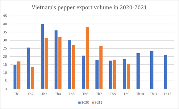 Pepper-export-6.jpg