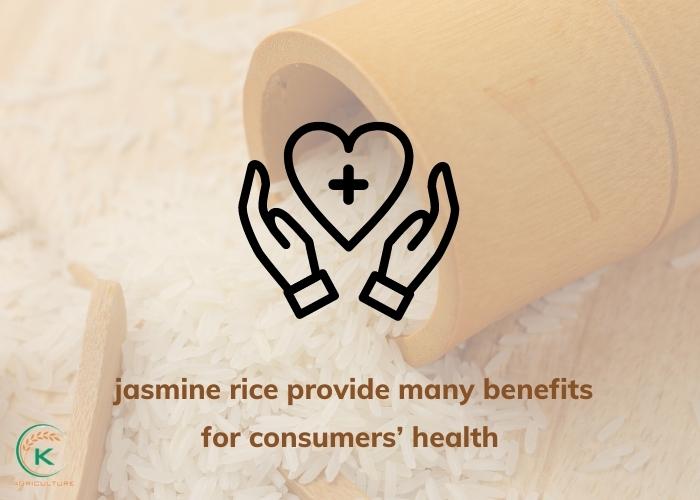 Jasmine Rice Nutrition: Is It Good For Your Health? - K-Agriculture
