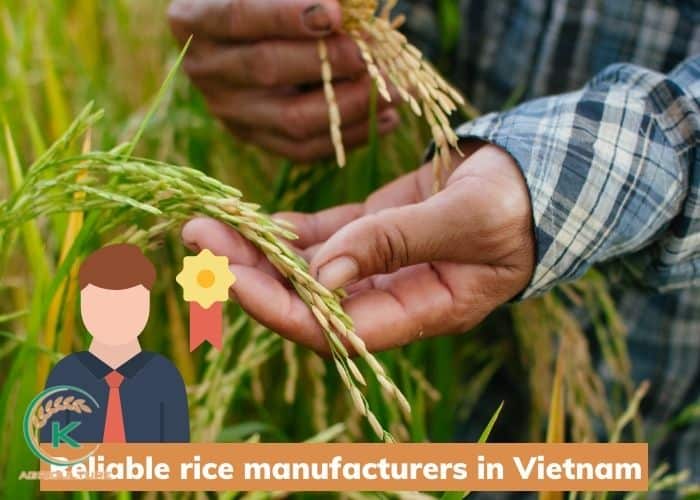 rice-manufacturers-in-vietnam-10.jpg