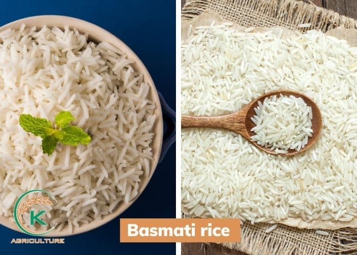 is-long-grain-rice-healthy-8.jpg