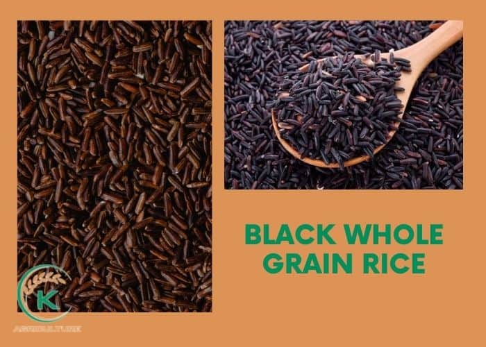 Is-long-grain-rice-whole-grain-2.jpg