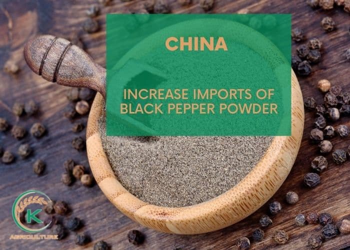 black-pepper-powder-5.jpg