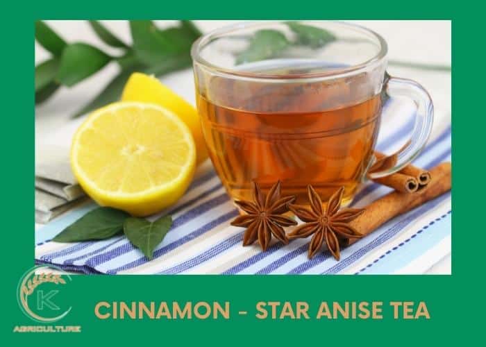 Star-anise-tea-4.jpg