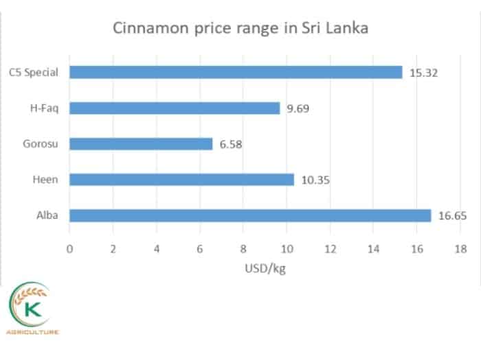 cinnamon-wholesale-price-4.jpg