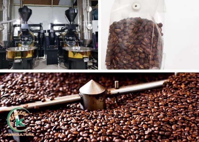 coffee-factory-6.jpg