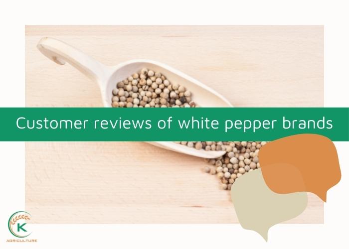 White-pepper-brands-5.jpg