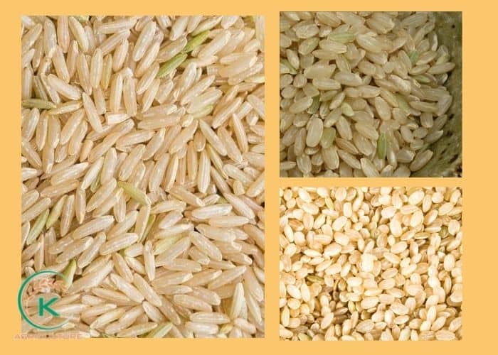Is-long-grain-rice-whole-grain-8.jpg