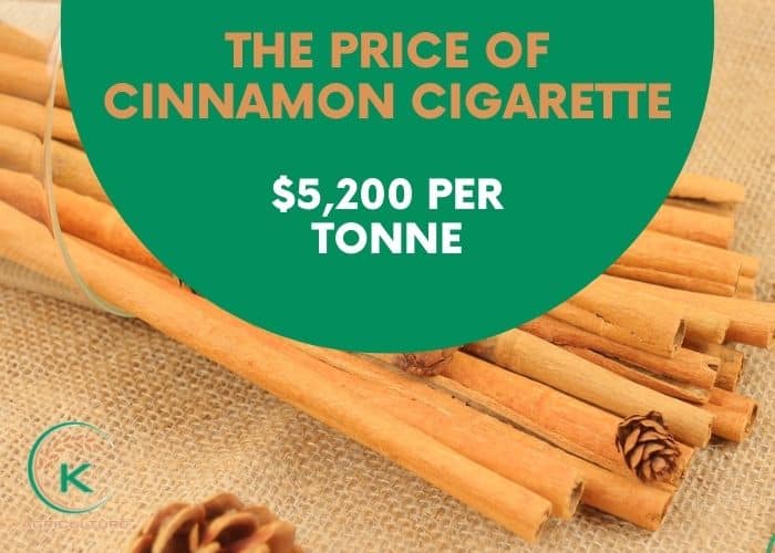 cinnamon-cigarette-7.jpg
