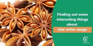 star-anise-usage.jpg