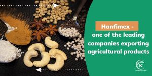 Hanfimex.jpg
