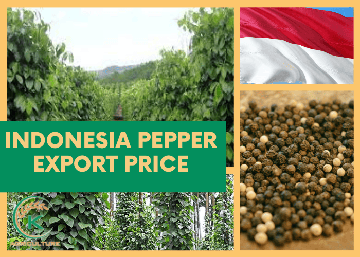 pepper-export-price-4.jpg