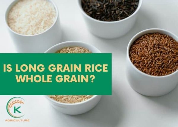 Is Long Grain Rice Whole Grain? - K-Agriculture
