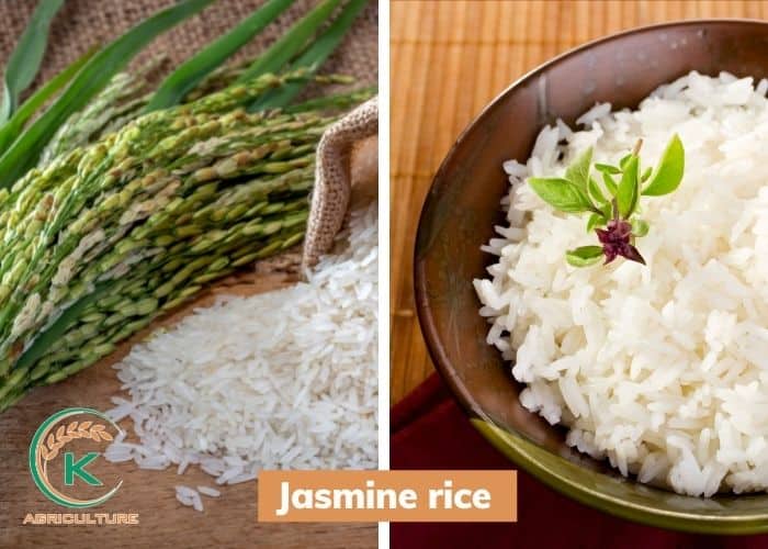 is-long-grain-rice-healthy-7.jpg