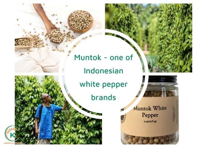 White-pepper-brands-9.jpg