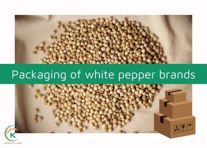White-pepper-brands-4.jpg