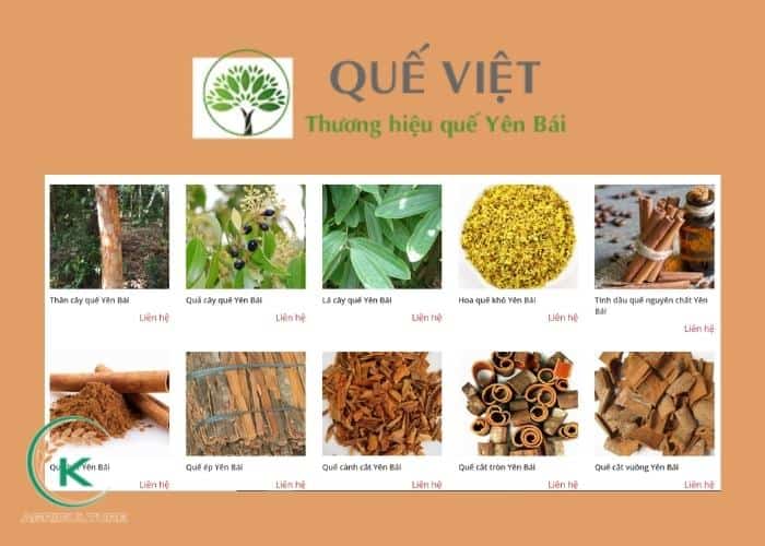 Vietnamese-cinnamon-14.jpg