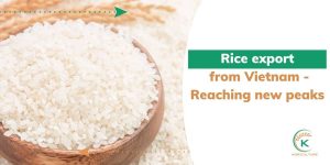rice-export-from-Vietnam.jpg