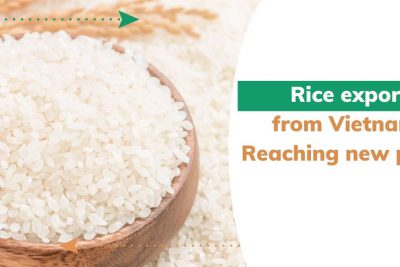 rice-export-from-Vietnam.jpg