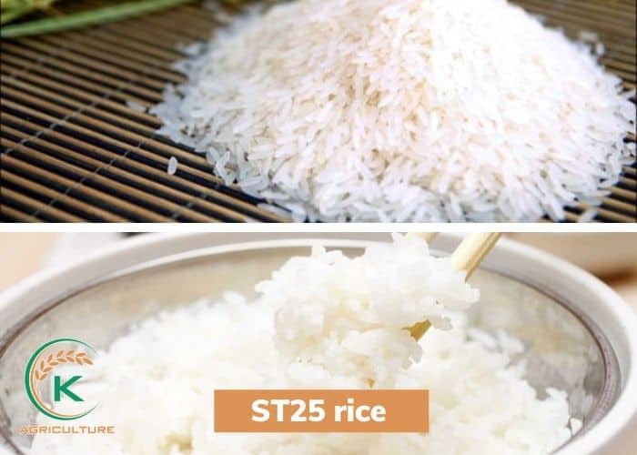 is-long-grain-rice-healthy-9.jpg