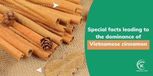 Vietnamese-cinnamon.jpg