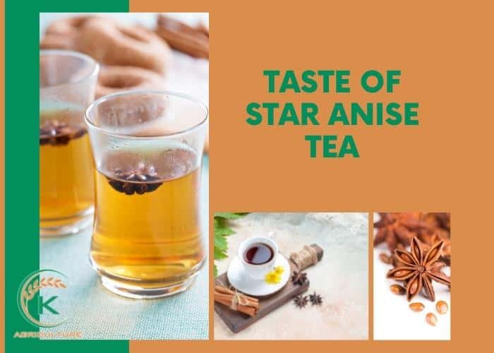 Star-anise-tea-3.jpg