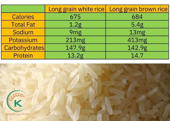 is-long-grain-rice-healthy-4.jpg