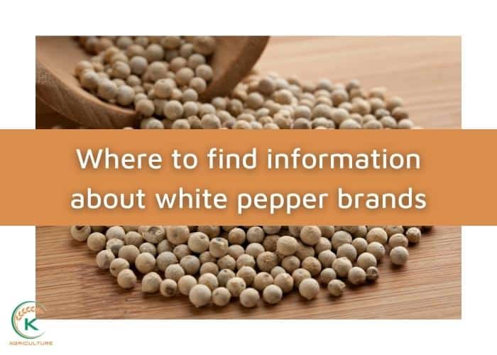 White-pepper-brands-14.jpg